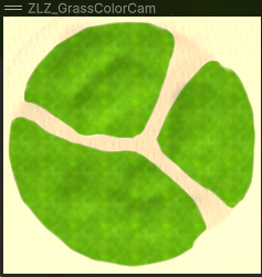 Camera_Grass